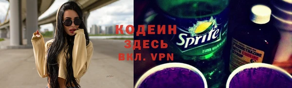 ПСИЛОЦИБИНОВЫЕ ГРИБЫ Бородино