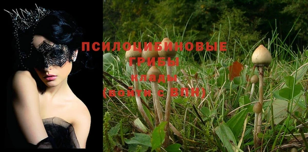 дмт Бугульма
