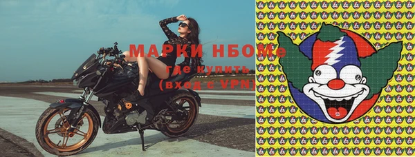 ПСИЛОЦИБИНОВЫЕ ГРИБЫ Бородино