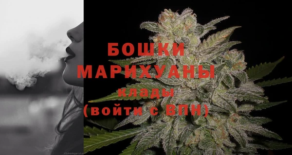 ПСИЛОЦИБИНОВЫЕ ГРИБЫ Бородино