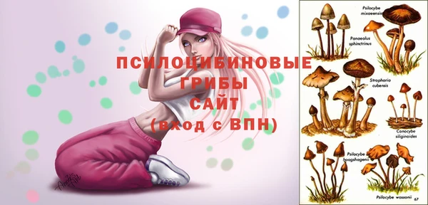 MDMA Бронницы